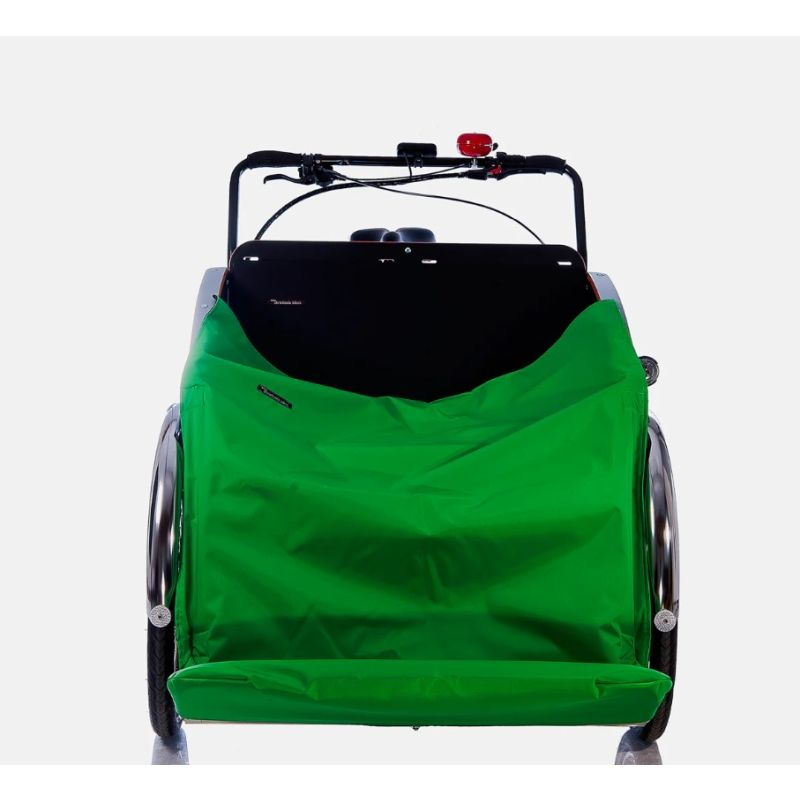chr-31